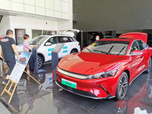 新能源車補貼退坡調查 市場終端火爆，車企策略分化，今年銷量劍指600萬輛